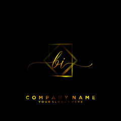 BI Initial handwriting logo vector