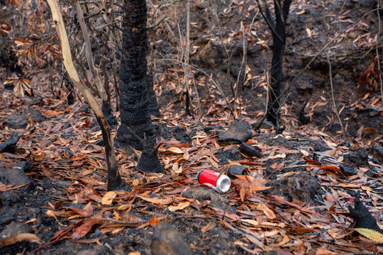 Straight after bush fires people leave rubbish in the landscape
