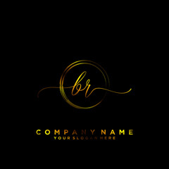 BR Initial handwriting logo vector