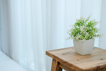 plant pot on wooden stool chair beside see through window curtain