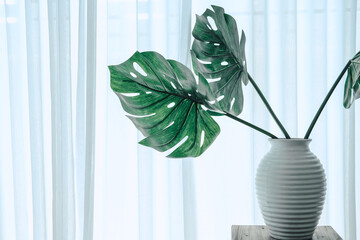monstera plant in ceramic vase beside see through sheer window curtain.