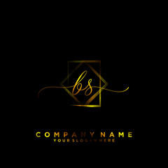 BS Initial handwriting logo vector