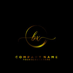 BX Initial handwriting logo vector