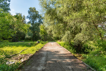 Obraz premium Old wooden bridge in the Special nature reserve 