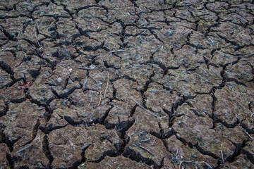 cracked earth soil ground Soil pattern when the water is dry and exposed to the sun
