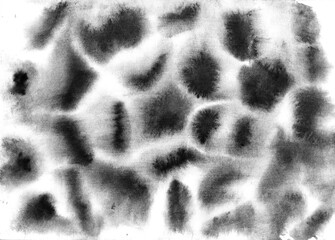 Imitation of an animal print with spreads on a white background. Abstract horizontal background hand-drawn in black watercolor.