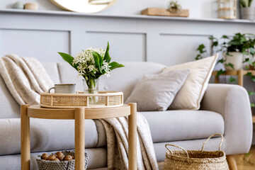 Scandinavian living room interior with design grey sofa, wooden coffee table, plants, shelf, spring flowers in vase, decoration and elegant personal accessories at home decor.