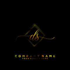 DS Initial handwriting logo vector