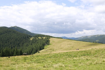 mountain landscape with blue sky