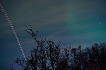 Fototapeta na wymiar airplane light stripe on star filled sky with aurora borealis and trees