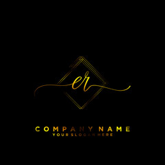 ER Initial handwriting logo vector