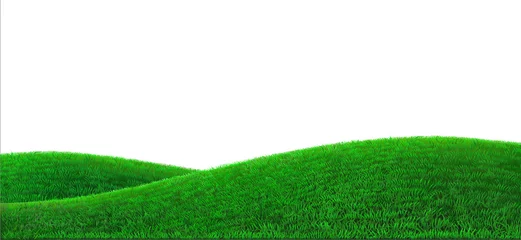 Fotobehang Vector groene heuvels achtergrond realistisch veld landschap © denisik11