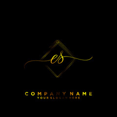 ES Initial handwriting logo vector