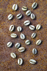 Fototapeta na wymiar Background of green coffee beans on rustic iron