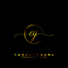 EY Initial handwriting logo vector