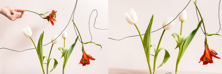 collage of floral composition with white tulips and red Alstroemeria on wires isolated on beige