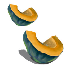 illustration sliced pumpkin autumn kitchen