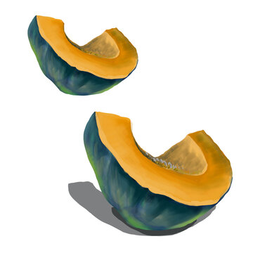 illustration sliced pumpkin autumn kitchen