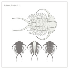 Trilobite fossil - natural history - vector illustration