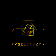 FZ Initial handwriting logo vector