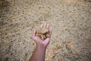 A man standing on a dried up farmfield holds  farm land soil in his hand.