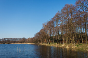 Trees on the shore of a forest lake. Lake beach with trees on a sunny day. The reflection of the blue sky in the lake. Small waves on the surface of the water. Spring 