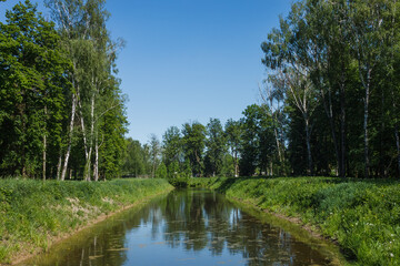 Fototapeta na wymiar Canal in a city park. Spring landscape