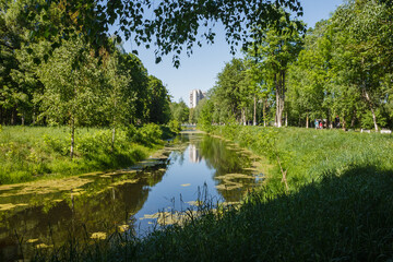Canal in a city park. Spring landscape