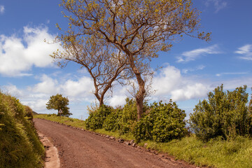 Sao Miguel, Azoren