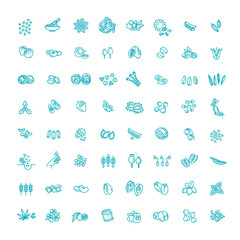 Plant seed and nuts vector icon set