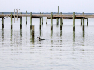 Fototapeta na wymiar Wooden pier and calm water.