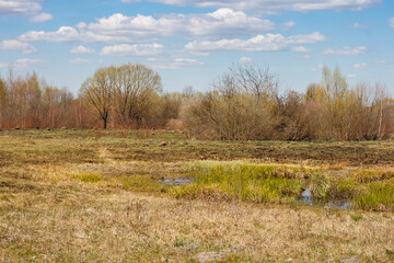 Spring landscape with view meadow with dry yellowed grass, forest and blue sky with clouds on a sunny day