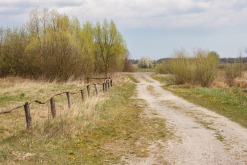 Fototapeta premium A fenced field and a dirt road leading to the forest. Spring landscape
