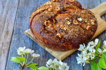 Traditional  italian easter  bread cake with  sugar,chocolate and nuts and  spring bloom 