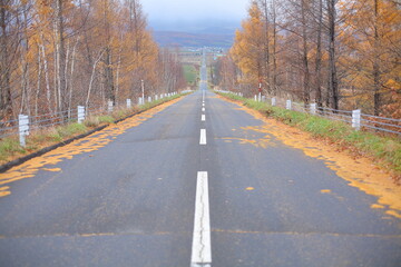 Very beautiful road (Panorama road) in Hokkaido, Japan