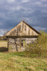 Abandoned old wooden house among the trees. Rural spring landscape.