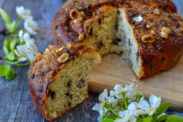 Traditional  italian easter  bread cake with  sugar,chocolate and nuts and  spring bloom 