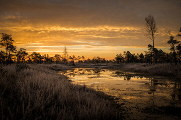 Small lakes in swamp fields. Early morning winter sunrise at golden hour. 