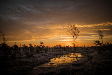 Naklejka premium Small lakes in swamp fields. Early morning winter sunrise at golden hour. 