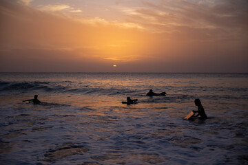 children surf, a group of young surfers catching waves on sunset time. Surfing and sport lifestyle, outdoors activities