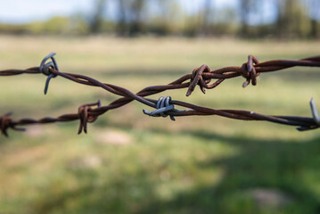 Close up on a barbed wire on a pasturage in Mazowsze region of Poland