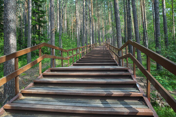  A huge wooden staircase in the reserve, leading to the top of a forest hill.