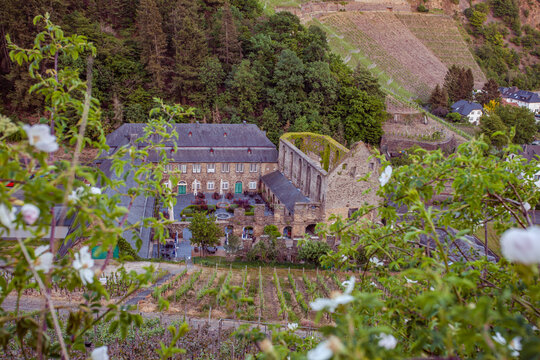 Monastery ruin Marienthal  in the Ahr Vally  Germany