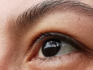 Obraz premium close up of eye