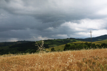 Campo di grano in collina poco prima di un temporale estivo