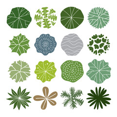 Tree top, tree plan - free hand drawn doodle top view trees for landscape plan. vector illustration