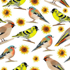Birds with sunflowers seamless pattern watercolor
