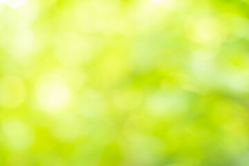 green bokeh background,abstract blur green color for background,blurred and defocused effect spring concept for design,nature view of blurred greenery background in garden using as background natural,