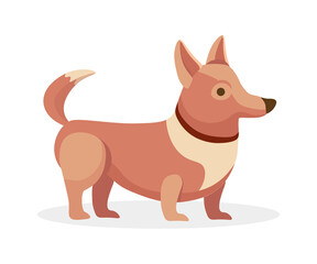 Cute little puppy dog pet vector flat cartoon illustration isolated on white background. Domestic funny and amusing animal, the portrait of a dog for decoration or design.