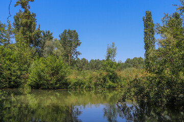 Nouvelle-Aquitaine - Deux-Sèvres - Marais Poitevin - Arçais - Canal de la Taillée